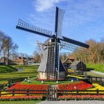 מידע כללי | טיסות, מזג אוויר, תכנון וכד' מידע כללי | טיסות, מזג אוויר, תכנון וכד'