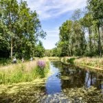 כפרי נופש – רשת Topparken כפרי נופש – רשת Topparken